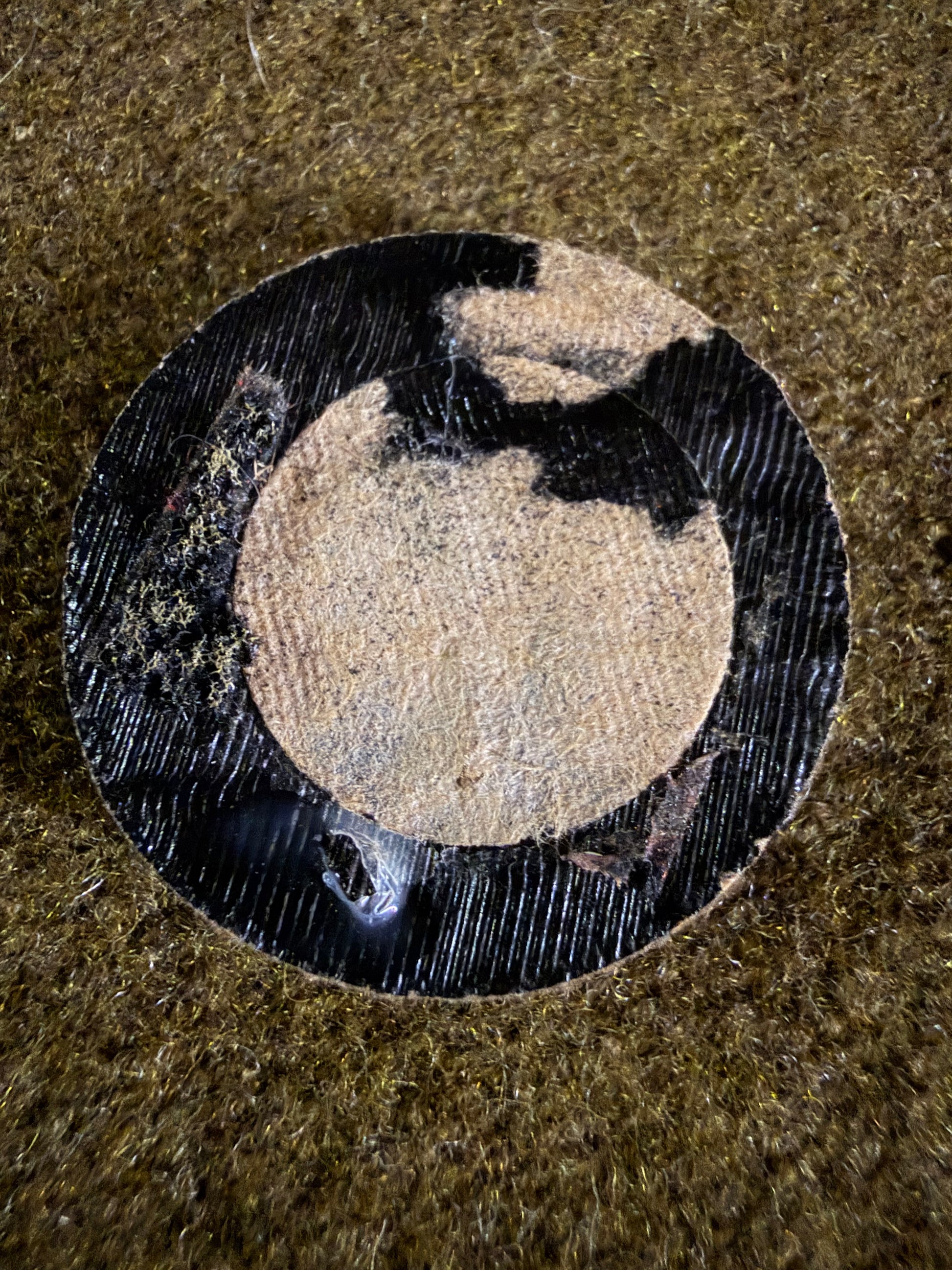 WWII Japanese Cadet Collar Rank