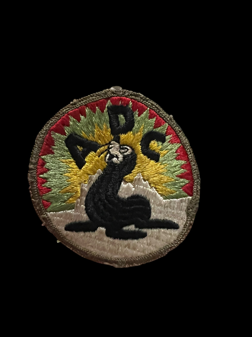 Green Sunburst Alaska Defense Command Disney Patch